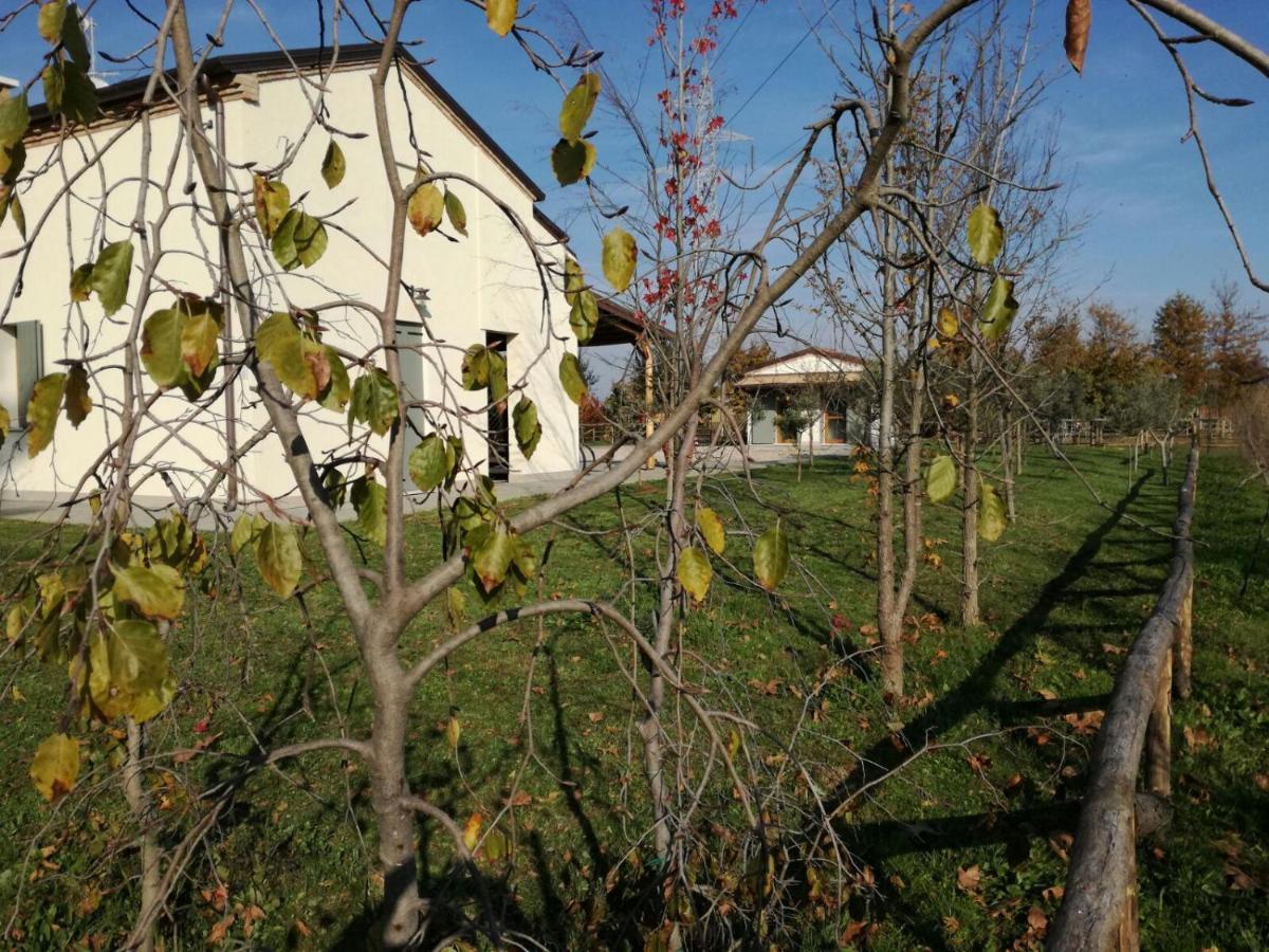 Agriturismo Corte Benetti Ровиго Экстерьер фото