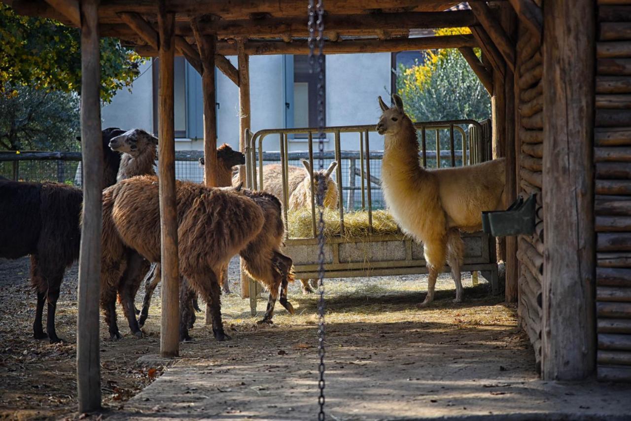 Agriturismo Corte Benetti Ровиго Экстерьер фото