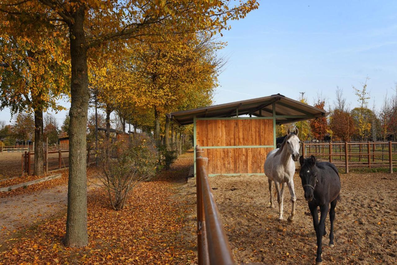 Agriturismo Corte Benetti Ровиго Экстерьер фото
