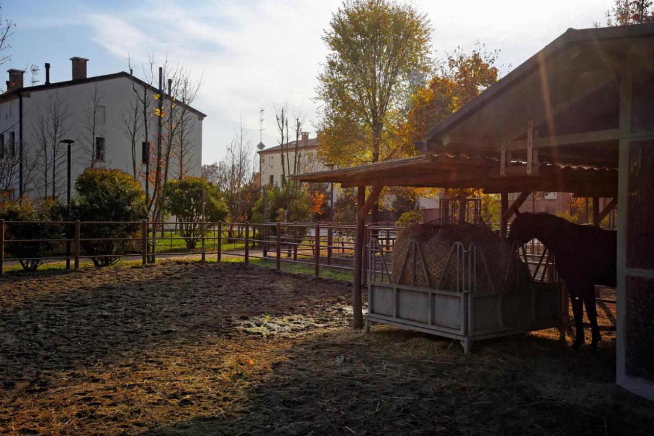 Agriturismo Corte Benetti Ровиго Экстерьер фото